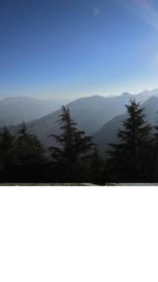 Moonlight Resort Mussoorie Εξωτερικό φωτογραφία